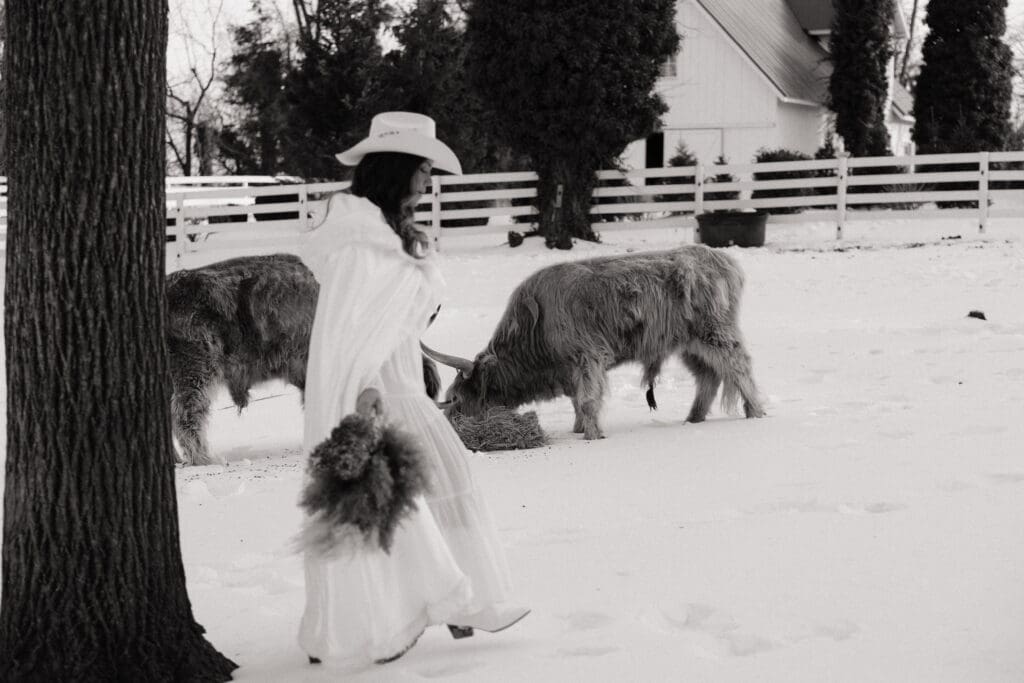 Mt Pleasant farm portrait, Columbus NJ