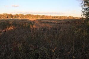 Boundary Creek park, moorestown NJ.
Open fields of grass during golden hour